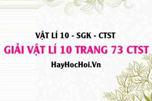 Giải Vật lí 10 trang 73 Chân trời sáng tạo SGK